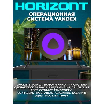  Телевизор Horizont 24HDS25BY черный 