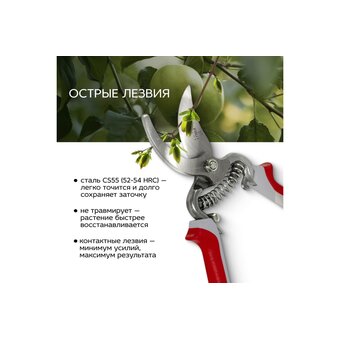  Cекатор FRUT CLUB 402217 