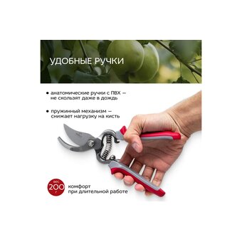  Cекатор FRUT CLUB 402217 