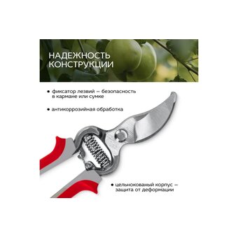  Cекатор FRUT CLUB 402217 