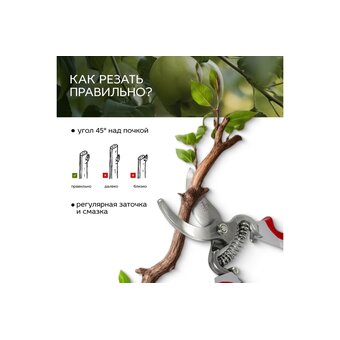  Cекатор FRUT CLUB 402217 