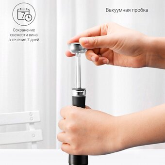  Винный набор Xiaomi Circle Joy Black Samurai Wine Set 4 in 1 (CJ-TZ07) 