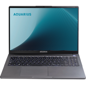  Ноутбук Aquarius Cmp NE356 (NE356153318S125SCN2TNNNNN2) Ryzen 5 6600H 8Gb SSD256Gb 16" без ОС WiFi BT Cam 