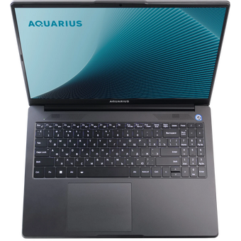  Ноутбук Aquarius Cmp NE356 (NE356153318S125SCN2TNNNNN2) Ryzen 5 6600H 8Gb SSD256Gb 16" без ОС WiFi BT Cam 