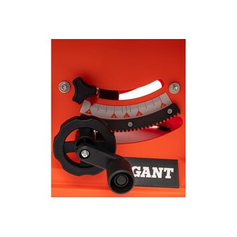  Распиловочный станок Gigant TSJ-254-2050-S со станиной 