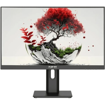  Монитор RDW Computers RDW2401K (2401K/F08B3100V2A1A) черный 