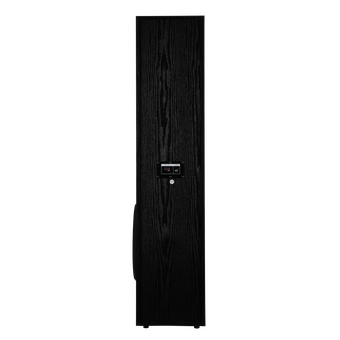 Акустическая система ELTRONIC 30-58 Home sound черный   Акустическая система ELTRONIC 30-58 Home sound черный