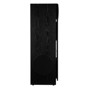 Акустическая система ELTRONIC 30-58 Home sound черный   Акустическая система ELTRONIC 30-58 Home sound черный