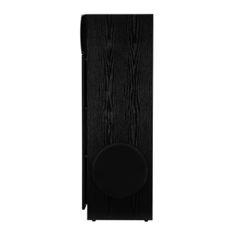 Акустическая система ELTRONIC 30-58 Home sound черный   Акустическая система ELTRONIC 30-58 Home sound черный