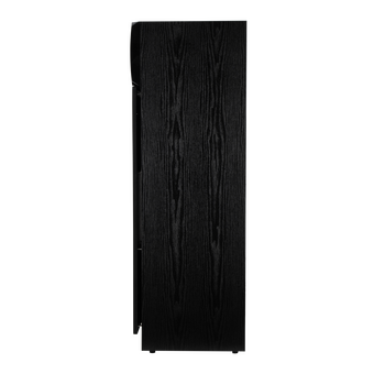 Акустическая система ELTRONIC 30-58 Home sound черный   Акустическая система ELTRONIC 30-58 Home sound черный