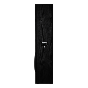 Акустическая система ELTRONIC 30-58 Home sound черный   Акустическая система ELTRONIC 30-58 Home sound черный