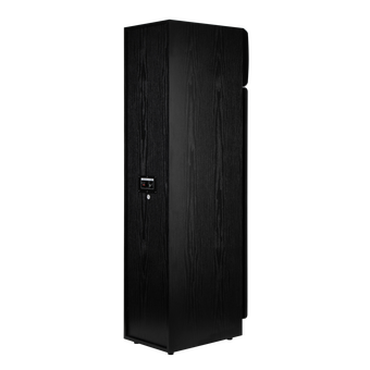 Акустическая система ELTRONIC 30-58 Home sound черный   Акустическая система ELTRONIC 30-58 Home sound черный