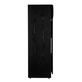 Акустическая система ELTRONIC 30-58 Home sound черный   Акустическая система ELTRONIC 30-58 Home sound черный