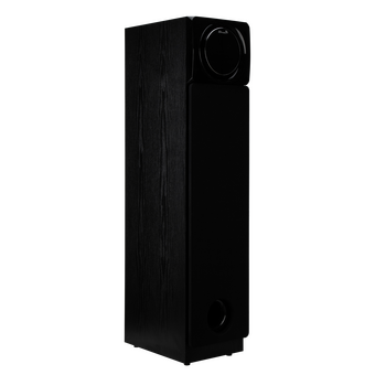 Акустическая система ELTRONIC 30-58 Home sound черный   Акустическая система ELTRONIC 30-58 Home sound черный