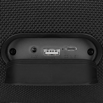  Портативная акустика Ural Урал ТТ М6+ Караоке черный/черный 