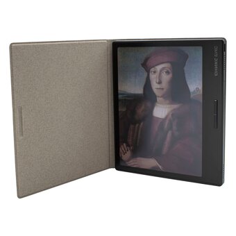  Электронная книга Onyx Boox Raphael 2 