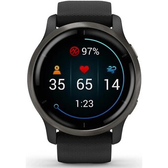  Smart-часы Garmin Venu 2 (010-02430-11) черный/черный 