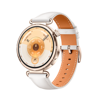  Smart-часы HUAWEI GT 6 KSU-B19 55020FVV White 