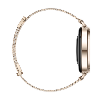  Smart-часы HUAWEI GT 6 KSU-B19 55020FVW Gold 