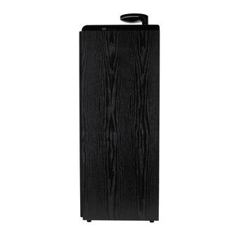  Акустическая система ELTRONIC 30-50 Home Sound черный 