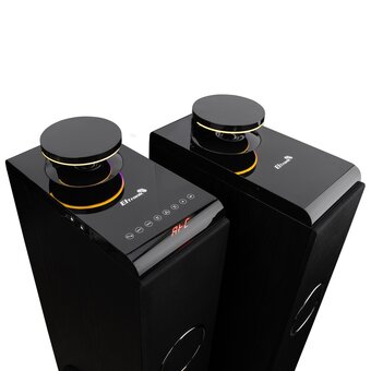  Акустическая система ELTRONIC 30-51 Home Sound черный 