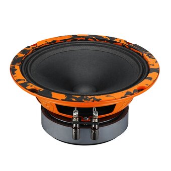  Автоакустика DL Audio Gryphon Pro 165 