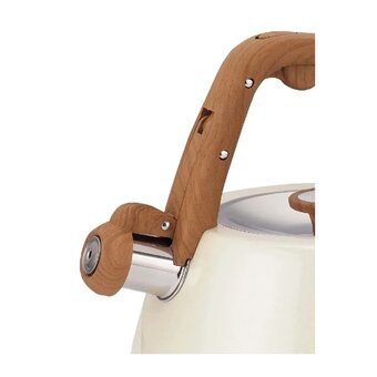  Чайник ZEIDAN Z-4553 Ivory 3,0л 