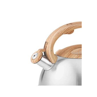  Чайник ZEIDAN Z-4546 3,0л 