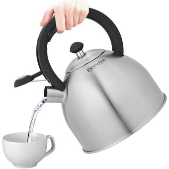  Чайник Rondell Cassia RDS-1886 3.0л стальной 