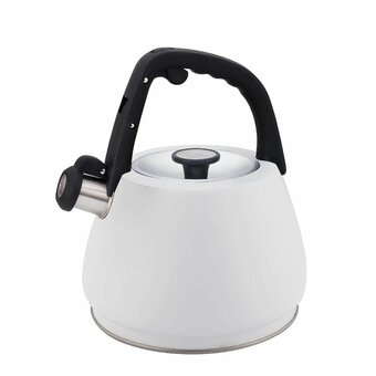  Чайник ZEIDAN Z-4554 3,0л 