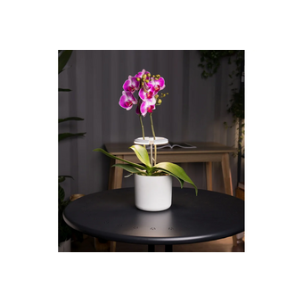  Светильник для растений Cactus Garden CS-LED-ORCHID 7.5Вт, белый 