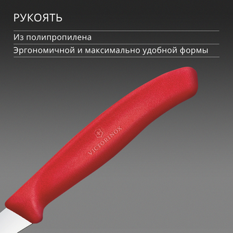  Нож кухонный Victorinox Swiss Classic 6.7501.C1 стальной для формовки лезв.60мм прямая заточка красный 