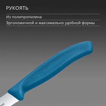  Нож кухонный Victorinox Swiss Classic 6.7732.C1 для чистки овощей и фруктов лезв.100мм серрейт. заточка синий 
