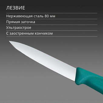  Нож кухонный Victorinox Swiss Classic 6.7604.C1 для чистки овощей и фруктов лезв.80мм прямая заточка зеленый 