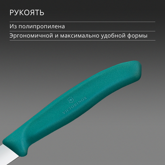 Нож кухонный Victorinox Swiss Classic 6.7604.C1 для чистки овощей и фруктов лезв.80мм прямая заточка зеленый 