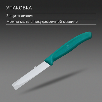  Нож кухонный Victorinox Swiss Classic 6.7604.C1 для чистки овощей и фруктов лезв.80мм прямая заточка зеленый 