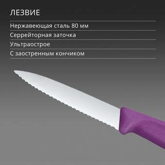  Нож кухонный Victorinox Swiss Classic 6.7635.C1 для чистки овощей и фруктов лезв.80мм серрейт. заточка пурпурный 