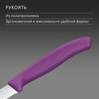  Нож кухонный Victorinox Swiss Classic 6.7635.C1 для чистки овощей и фруктов лезв.80мм серрейт. заточка пурпурный 