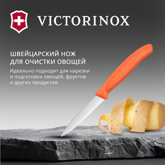  Нож кухонный Victorinox Swiss Classic 6.7639.C1 для чистки овощей и фруктов лезв.80мм серрейт. заточка оранжевый 