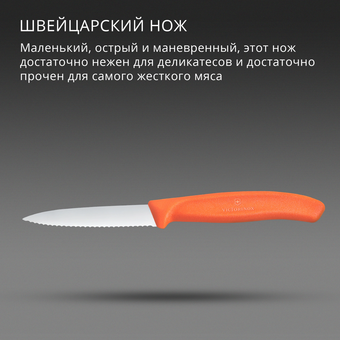  Нож кухонный Victorinox Swiss Classic 6.7639.C1 для чистки овощей и фруктов лезв.80мм серрейт. заточка оранжевый 