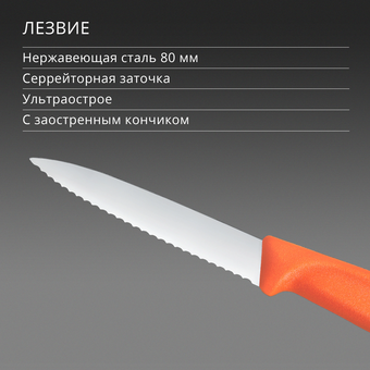  Нож кухонный Victorinox Swiss Classic 6.7639.C1 для чистки овощей и фруктов лезв.80мм серрейт. заточка оранжевый 