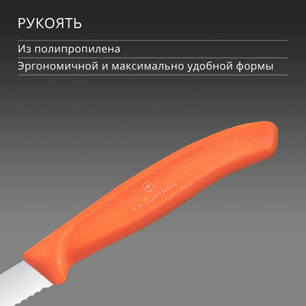  Нож кухонный Victorinox Swiss Classic 6.7639.C1 для чистки овощей и фруктов лезв.80мм серрейт. заточка оранжевый 