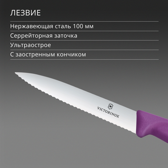  Нож кухонный Victorinox Swiss Classic 6.7735.C1 для чистки овощей и фруктов лезв.100мм серрейт. заточка пурпурный 
