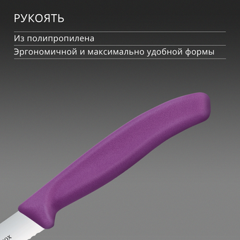  Нож кухонный Victorinox Swiss Classic 6.7735.C1 для чистки овощей и фруктов лезв.100мм серрейт. заточка пурпурный 