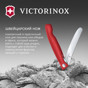  Нож кухонный Victorinox Swiss Classic 6.7801.FC1 стальной столовый лезв.110мм прямая заточка красный карт.коробка 
