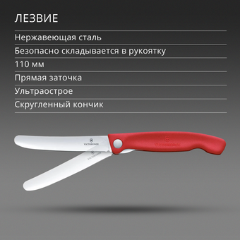  Нож кухонный Victorinox Swiss Classic 6.7801.FC1 стальной столовый лезв.110мм прямая заточка красный карт.коробка 