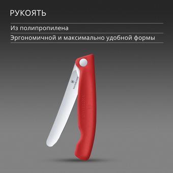  Нож кухонный Victorinox Swiss Classic 6.7801.FC1 стальной столовый лезв.110мм прямая заточка красный карт.коробка 