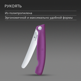 Нож кухонный Victorinox Swiss Classic 6.7835.FC1 стальной столовый лезв.110мм серрейт. заточка пурпурный карт.коробка 