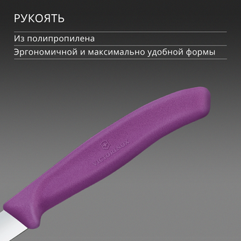  Нож кухонный Victorinox Swiss Classic 6.7605.C1 для чистки овощей и фруктов лезв.80мм прямая заточка пурпурный 