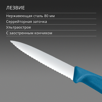  Нож кухонный Victorinox Swiss Classic 6.7632.C1 для чистки овощей и фруктов лезв.80мм серрейт. заточка синий 